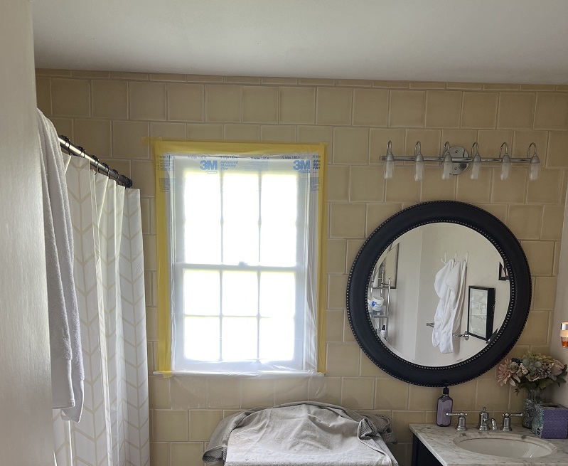 Windows in need for replace